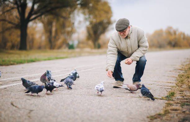 istock Man feeding pigeons in the old town 1296893544