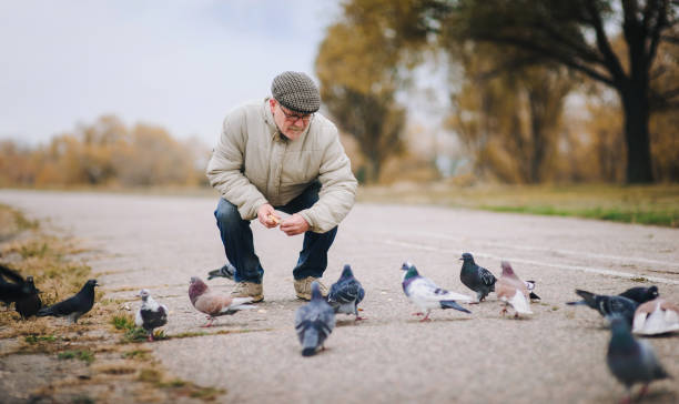 istock Man feeding pigeons in the old town 1296893566
