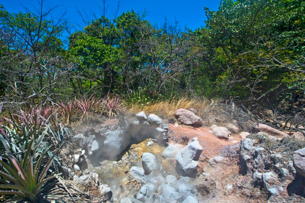 コスタリカグアナカステのリンコン・デ・ラ・ビエハ保護区で地面から上昇する火山蒸気 - vapours ストックフォトと画像