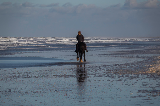 Oostvoorne,Holland,13-jan-2021:backside of a woman riding horse on the beach in the winter with waves on the sea