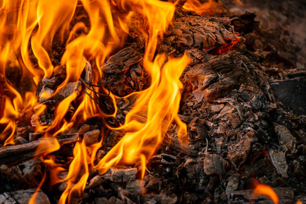 istock Burning coals at night, rotting coal, barbecue season. Close-up. 1296896830