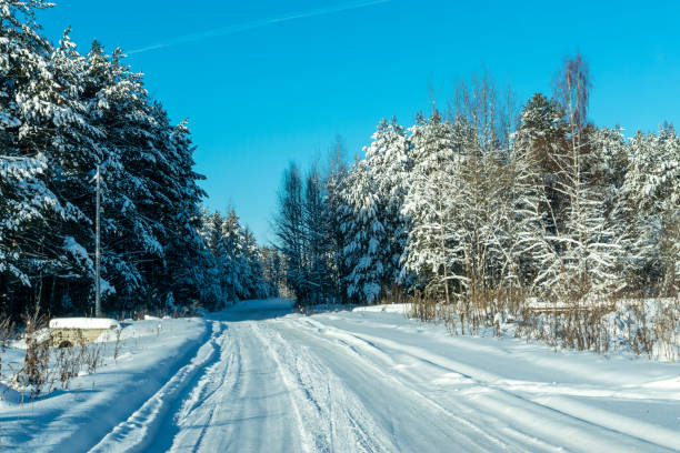 istock Snow-covered road in the forest on a sunny clear day 1296896866