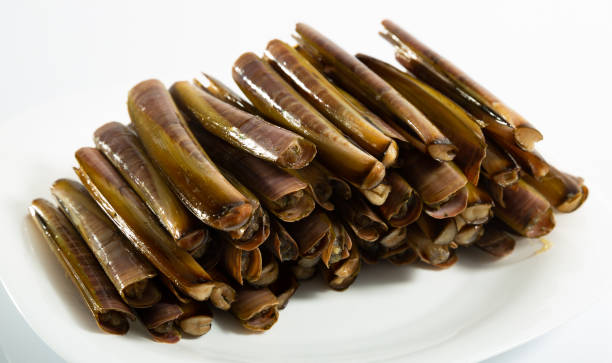 istock Raw marine mollusks Solen 1296897973