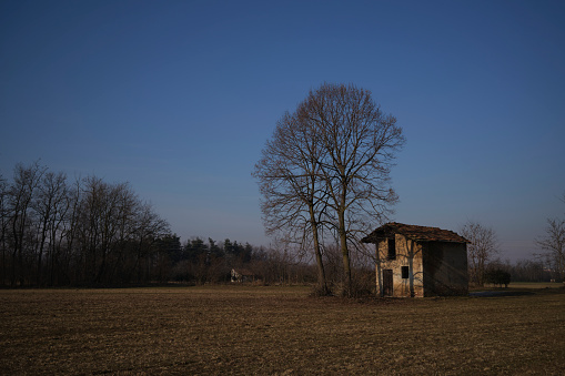 Abandoned Barn in a field