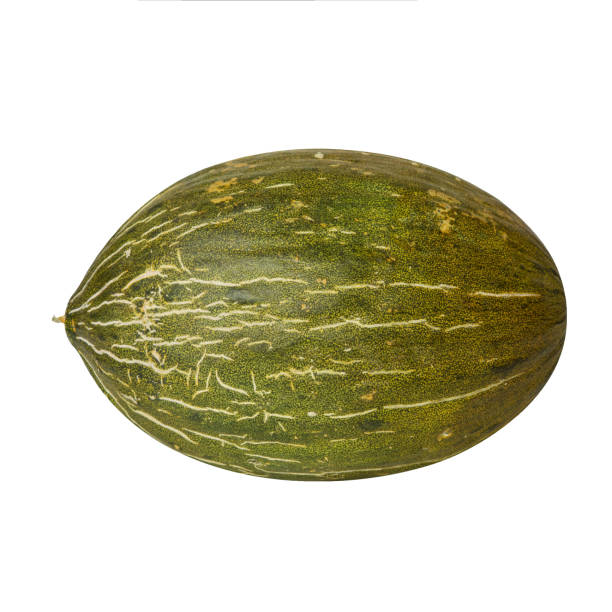 istock Melon Piel de sapo isolated on white 1296900639