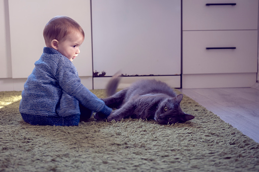 Baby boy plays with cat