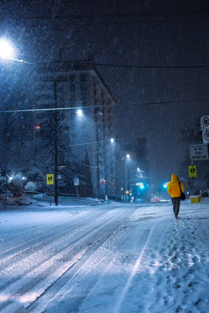 istock Strolling in the snowy winter road - Hamilton ON Canada 1296903385