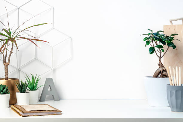 istock Creative hipster's desk at a white wall. A natural space for hobbies and work. 1296904161