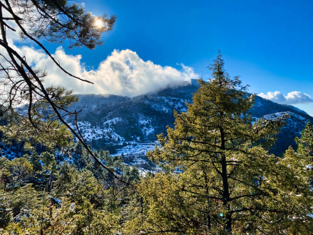 istock snow in the Alpes Maritimes 1296904201