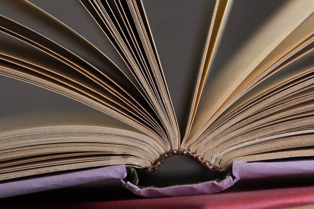 istock open book pages close-up - education and wisdom concept 1296906675