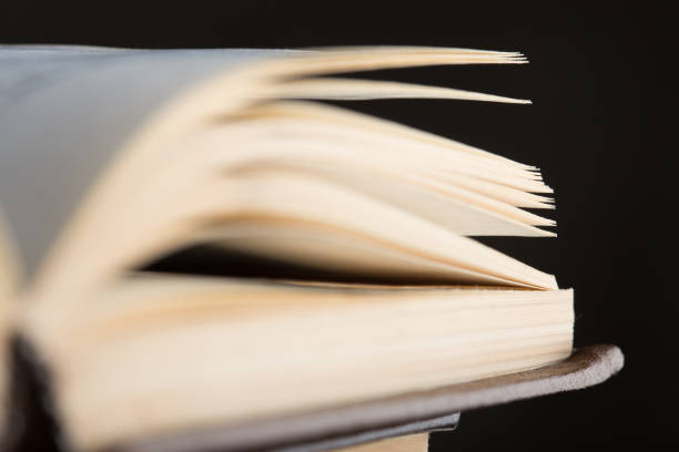 istock open book pages close-up - education and wisdom concept 1296907131