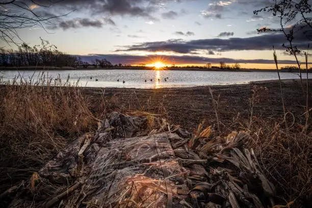Duck hunting from layout blind