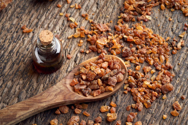 istock Myrrh resin on a spoon, with Commiphora essential oil 1296911210
