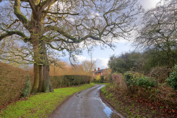 istock Liston, Essex. 1296912136