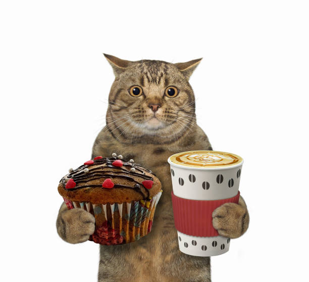 istock Cat holds cupcake and coffee 3 1296912279
