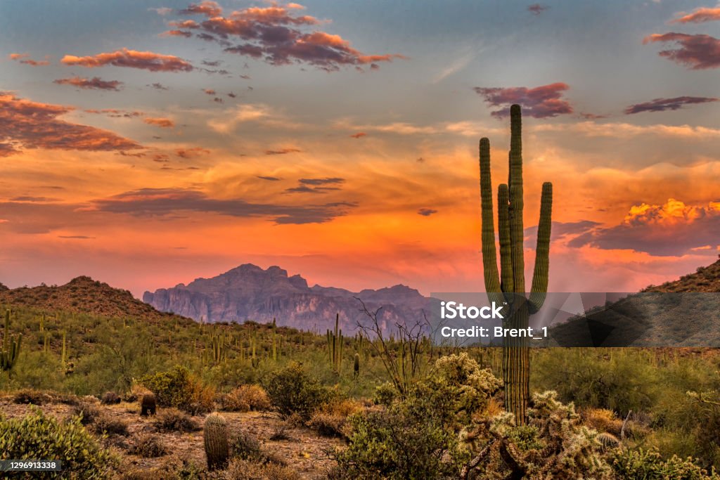 Sonoran Sunset Sunset in the Sonoran Desert near Phoenix, Arizona Arizona Stock Photo