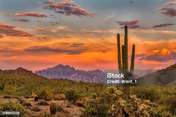 Sonoran Sunset Stock Photo - Download Image Now - Arizona, Desert Area, Phoenix - Arizona