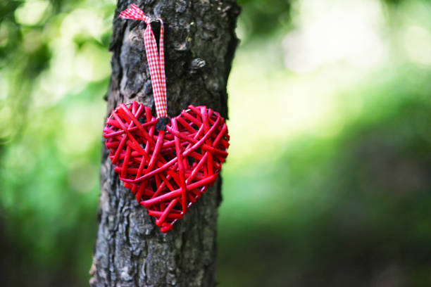 Red decorative heart hanging on a tree trunk on a blurred natural background. VALENTINE'S DAY