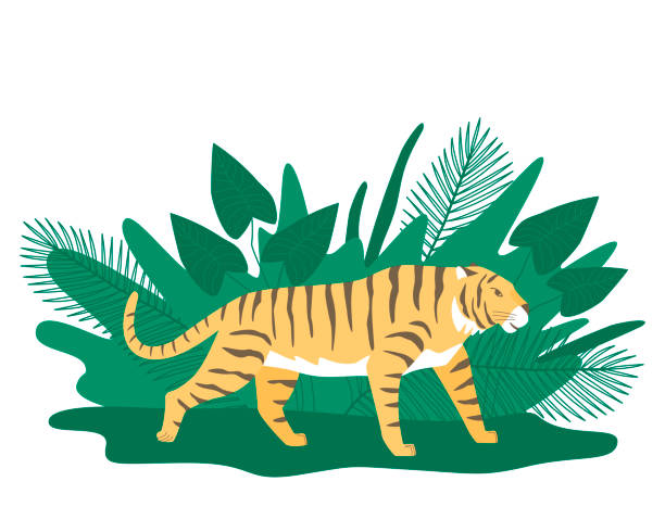 illustrazioni stock, clip art, cartoni animati e icone di tendenza di tigre su uno sfondo di piante tropicali con erba e foglie - safari animals asia palm tree animals in the wild
