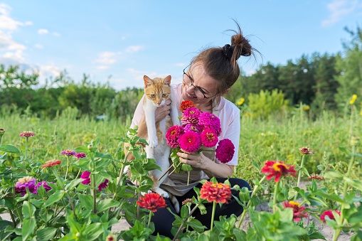 Mature happy woman with domestic cat and fresh zinnia flowers bouquet, summer natural landscape vegetable garden background