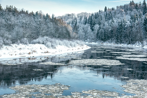 Gauja river on frosty and snowy winter day at Sigulda, Latvia