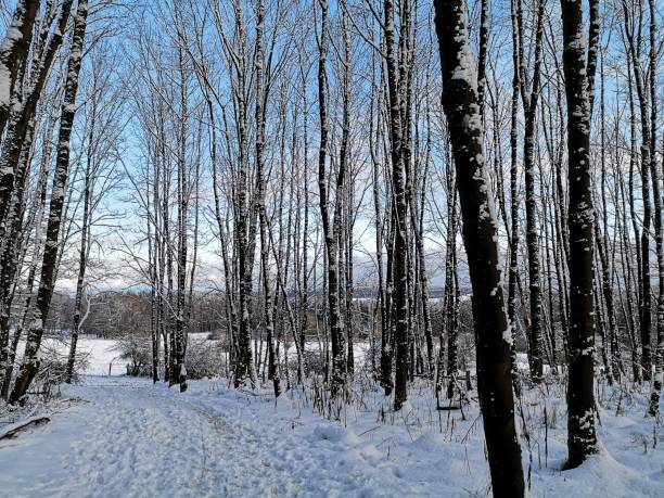istock Snowy landscape of Germany 1296918222