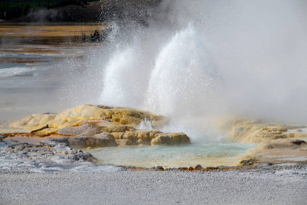 Erupting geyser at Lower Geyser Basin, Yellowstone National Park, Wyoming, USA