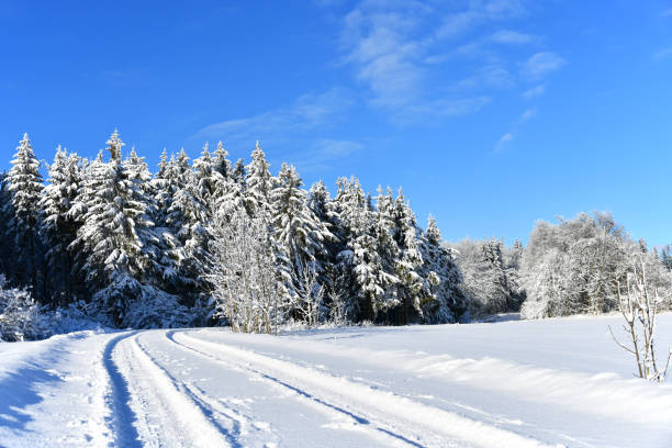istock beautiful winter landscape 1296920345