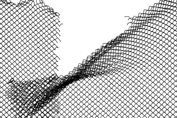 Frayed ends of torn wire mesh fence against white background