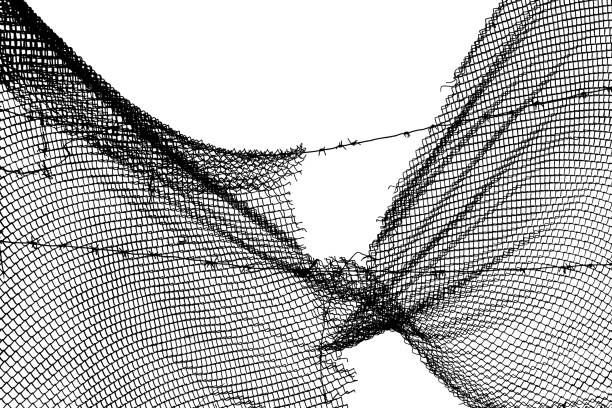 istock Frayed ends of torn wire mesh fence against white background 1296923374