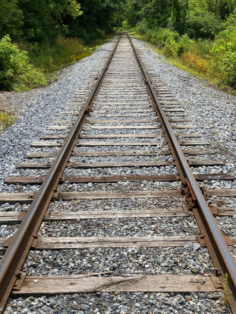istock Railroad tracks in the forest. 1296926508