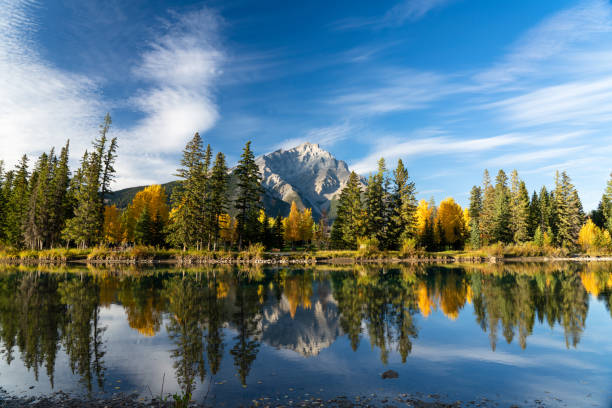 Banff National Park beautiful natural scenery in autumn. Cascade Mountain and colorful trees reflected on Bow River, Canadian Rockies. Banff National Park beautiful natural scenery in autumn. Cascade Mountain and colorful yellow and green trees reflected on Bow River like a mirror in a sunny day. Town of Banff, Canadian Rockies. bow river stock pictures, royalty-free photos & images