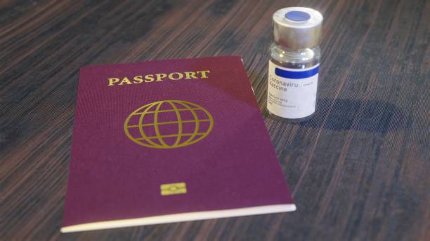 istock Coronavirus COVID-19 Vaccine Immunity passport 1296931218
