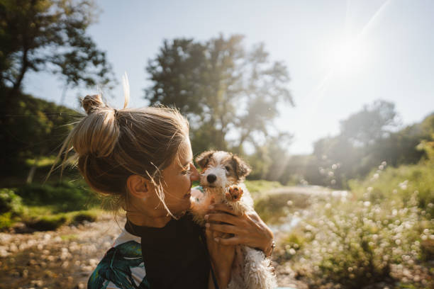 Our first summer together Photo of a smiling young woman and her cute puppy enjoying the hot, sunny day by the river. dog swimsuit stock pictures, royalty-free photos & images