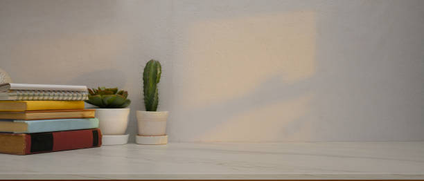 istock Study table in home office room with books, plant pots and copy space 1296950630