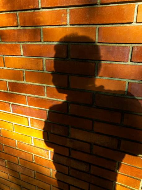 istock Shadow of men on brick wall 1296952453