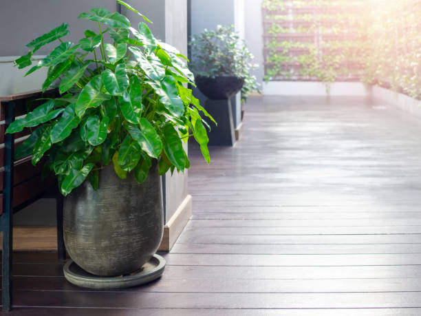 istock Green leaves in ceramic pot decorated on wood floor. 1296952655