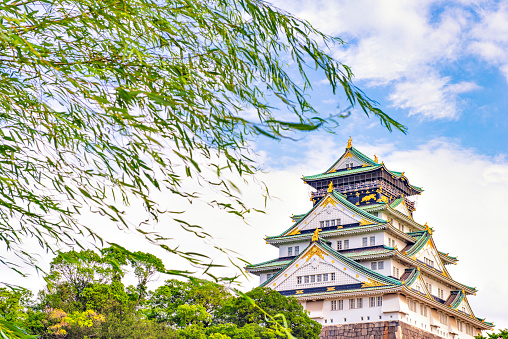 Japan - July 15, 2019 : Main Building of Osaka Castle with Green Trees around castle in summer, Osaka