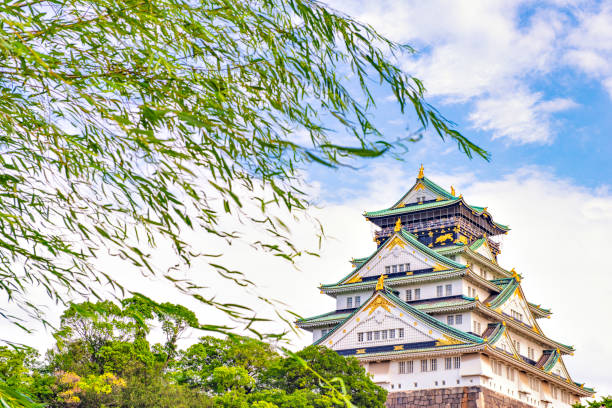 Osaka Castle in Green Summer Season, Osaka, Kansai, Japan Japan - July 15, 2019 : Main Building of Osaka Castle with Green Trees around castle in summer, Osaka osaka castle stock pictures, royalty-free photos & images