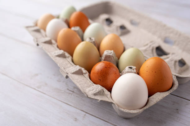istock Fresh eggs from free range chickens on a small farm, beautiful colorful eggs from different breeds of chickens 1296958064