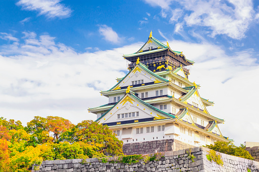 Japan - November 15, 2019 :  Main Building of Osaka Castle located among colourful maple trees in Auutmn, Osaka