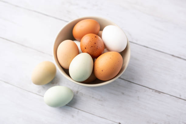 istock Fresh eggs from free range chickens on a small farm, beautiful colorful eggs from different breeds of chickens 1296959360