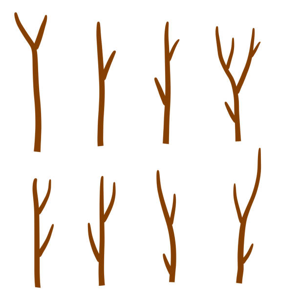 Tree branch. Set of different brown sticks. Cartoon flat illustration Tree branch. Set of different brown sticks. Cartoon flat illustration. Element of nature, forest or Park isolated on white stick plant part stock illustrations