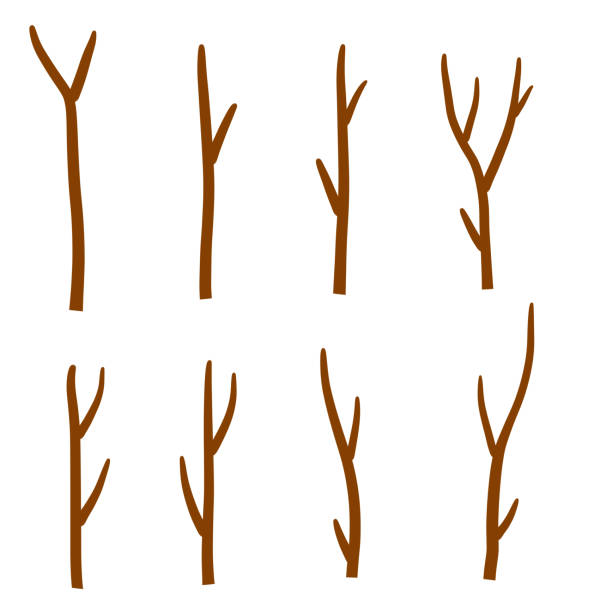 Tree branch. Set of different brown sticks. Cartoon flat illustration Tree branch. Set of different brown sticks. Cartoon flat illustration. Element of nature, forest or Park isolated on white twig stick wood branch stock illustrations