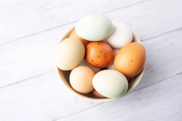 istock Fresh eggs from free range chickens on a small farm, beautiful colorful eggs from different breeds of chickens 1296960347