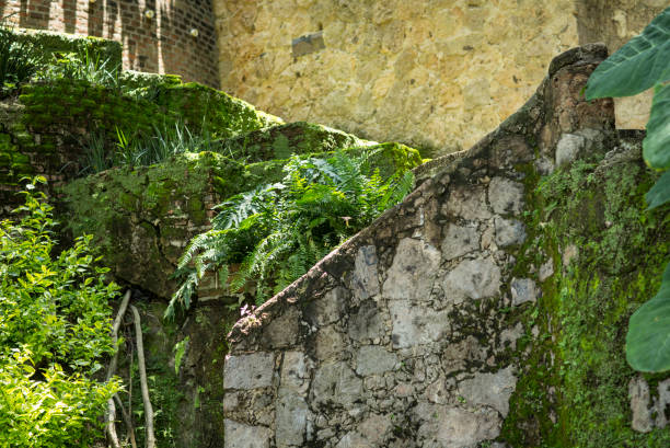 istock old place decorated in green areas 1296961168