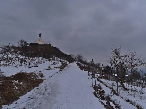 Snow-covered path in winter season on hill with famous historic chapel Sankt-Remigius-Kapelle (also Wurmlinger Kapelle) surrounded by bare vineyards near Wurmlingen, Baden-Württemberg, Germany.