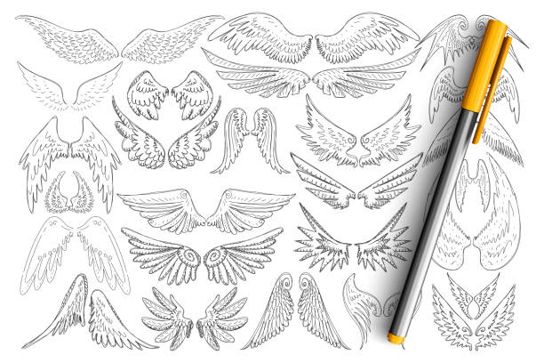 Bird wings patterns doodle set Bird wings patterns doodle set. Collection of hand drawn elegant wings of different birds in style of tattoo isolated on transparent background. Illustration of decorative wings concept angel wings drawing stock illustrations