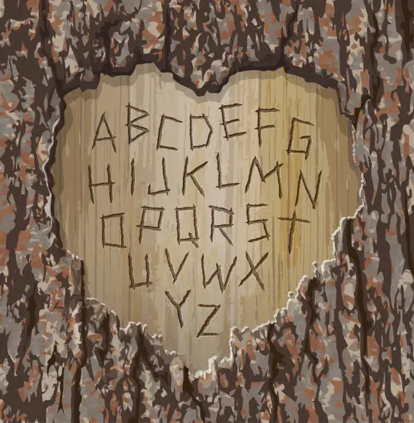 Vector illustration of Alphabet letters carved into an old tree with heart shape cut out.