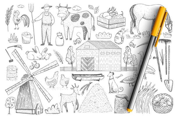 Agriculture and farm doodle set Agriculture and farm doodle set. Collection of hand drawn farmer, animals, harvesting, haystacks, village house and feeding places in stalls isolated on transparent background. Illustration of farm farmer drawings stock illustrations